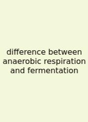 Difference Between Anaerobic Respiration And Fermentation