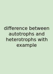 Difference Between Autotrophs And Heterotrophs With Example