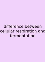 Difference Between Cellular Respiration And Fermentation