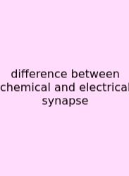 Difference Between Chemical And Electrical Synapse