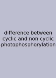 Difference Between Cyclic And Non Cyclic Photophosphorylation