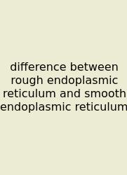 Difference Between Rough Endoplasmic Reticulum And Smooth Endoplasmic Reticulum