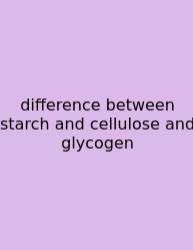 Difference Between Starch And Cellulose And Glycogen