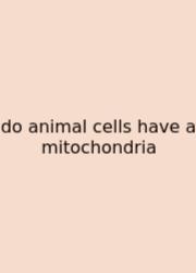 Do Animal Cells Have A Mitochondria