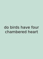 Do Birds Have Four Chambered Heart