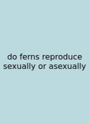 Do Ferns Reproduce Sexually Or Asexually