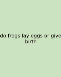 Do Frogs Lay Eggs Or Give Birth