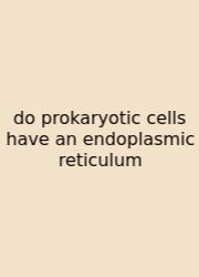 Do Prokaryotic Cells Have An Endoplasmic Reticulum