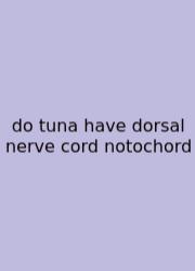 Do Tuna Have Dorsal Nerve Cord Notochord