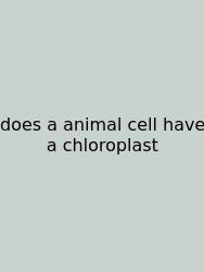 Does A Animal Cell Have A Chloroplast