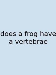 Does A Frog Have A Vertebrae