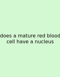 Does A Mature Red Blood Cell Have A Nucleus