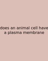 Does An Animal Cell Have A Plasma Membrane