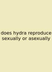 Does Hydra Reproduce Sexually Or Asexually