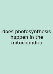 Does Photosynthesis Happen In The Mitochondria