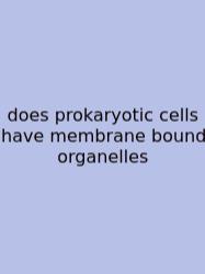 Does Prokaryotic Cells Have Membrane Bound Organelles