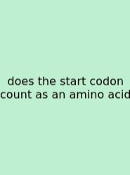 Does The Start Codon Count As An Amino Acid