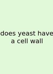 Does Yeast Have A Cell Wall