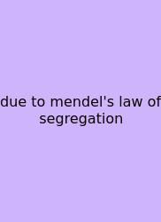Due To Mendel's Law Of Segregation