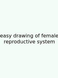 Easy Drawing Of Female Reproductive System