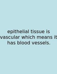Epithelial Tissue Is Vascular Which Means It Has Blood Vessels.