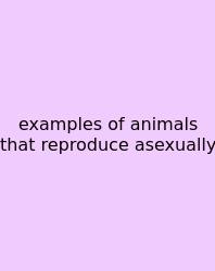 Examples Of Animals That Reproduce Asexually