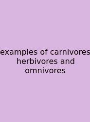 Examples Of Carnivores Herbivores And Omnivores