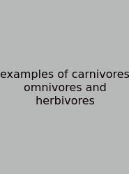 Examples Of Carnivores Omnivores And Herbivores