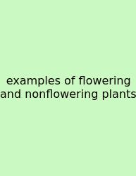 Examples Of Flowering And Nonflowering Plants