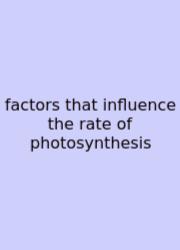 Factors That Influence The Rate Of Photosynthesis