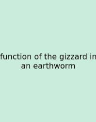 Function Of The Gizzard In An Earthworm