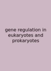Gene Regulation In Eukaryotes And Prokaryotes