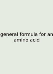 General Formula For An Amino Acid
