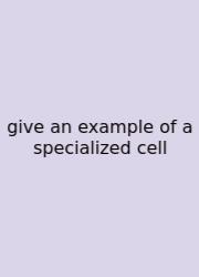 Give An Example Of A Specialized Cell