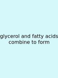 Glycerol And Fatty Acids Combine To Form
