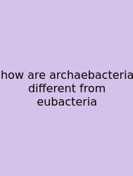 How Are Archaebacteria Different From Eubacteria