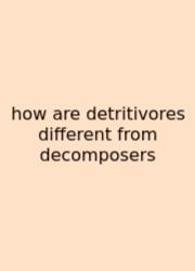 How Are Detritivores Different From Decomposers