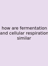 How Are Fermentation And Cellular Respiration Similar