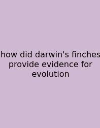 How Did Darwin's Finches Provide Evidence For Evolution