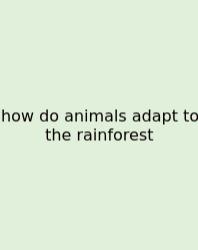 How Do Animals Adapt To The Rainforest