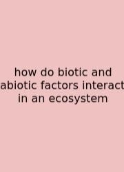 How Do Biotic And Abiotic Factors Interact In An Ecosystem