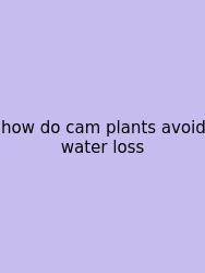 How Do Cam Plants Avoid Water Loss