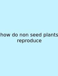 How Do Non Seed Plants Reproduce