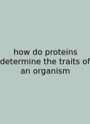 How Do Proteins Determine The Traits Of An Organism