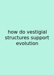 How Do Vestigial Structures Support Evolution