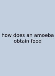 How Does An Amoeba Obtain Food