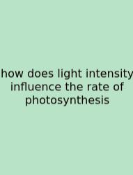 How Does Light Intensity Influence The Rate Of Photosynthesis