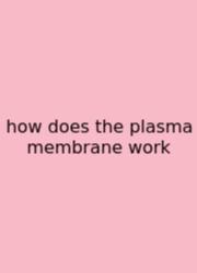 How Does The Plasma Membrane Work