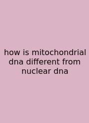 How Is Mitochondrial Dna Different From Nuclear Dna