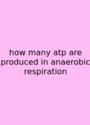 How Many Atp Are Produced In Anaerobic Respiration